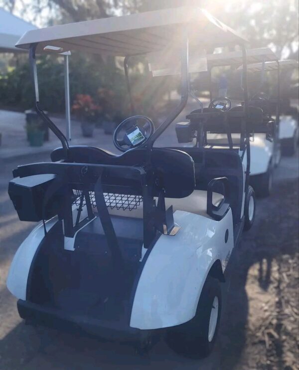 2017 EZGO Electric Golf Cart - Image 3