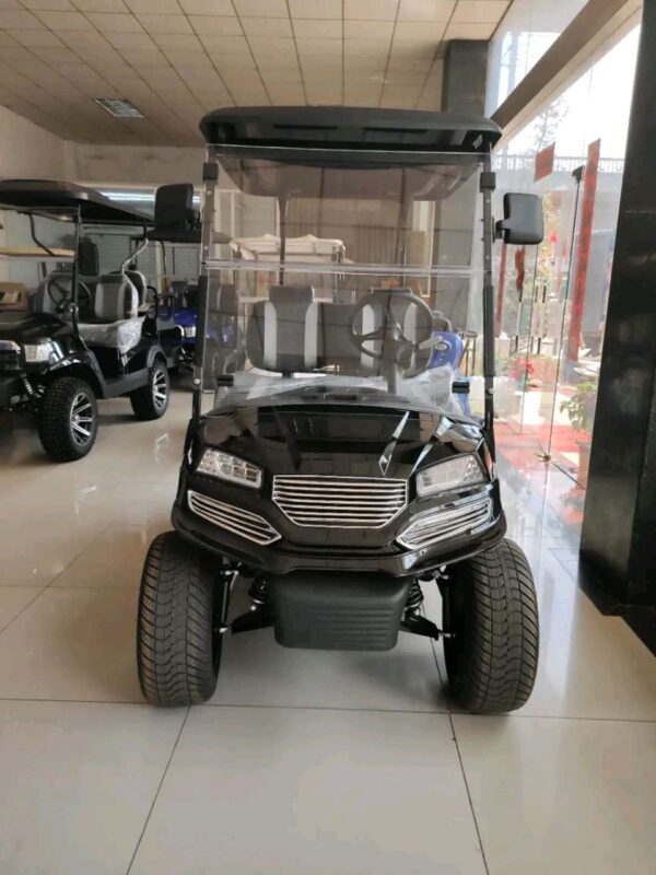 2021 Custom Electric Motor Golf Cart - Image 8