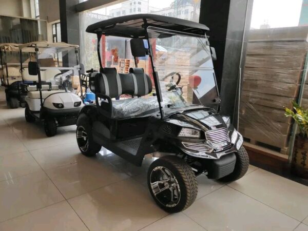 2021 Custom Electric Motor Golf Cart