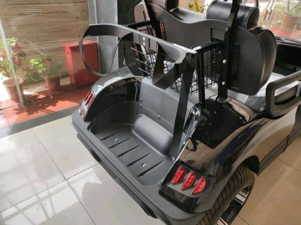 2021 Custom Electric Motor Golf Cart - Image 2