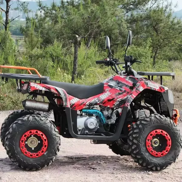 125cc All-Terrain ATV Motorcycle for kids 4 wheels - Image 3